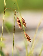 IMG_0482