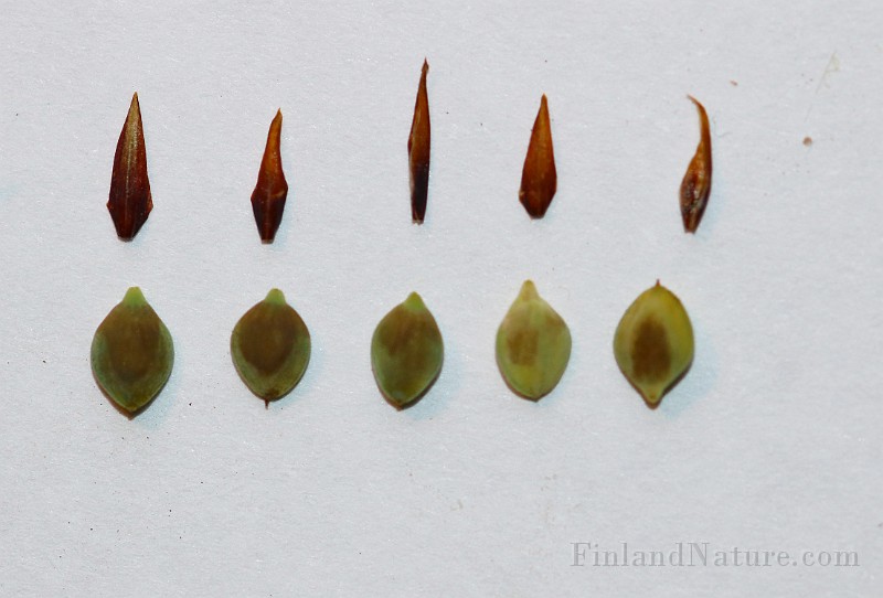 IMG_9736.JPG
