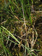 IMG_8605
