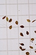 IMG_1518