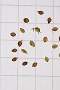 IMG_1522