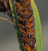 IMG_4598