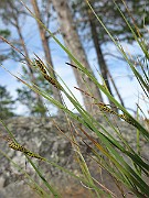 IMG_4605