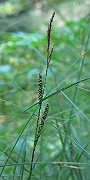 IMG_8817