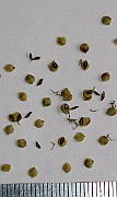 IMG_9757