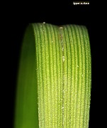 IMG_1380