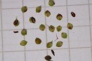 IMG_1511