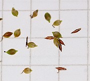 IMG_1530