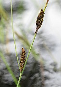 IMG_6666