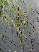 IMG_6673
