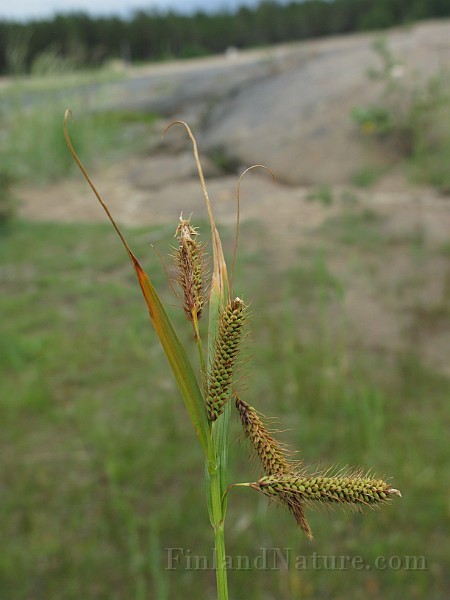 IMG_6776.jpg