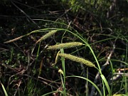 IMG_8211