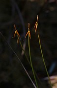 IMG_0071