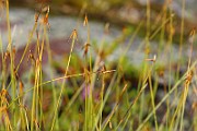 IMG_1391