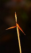 IMG_1393