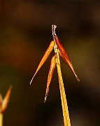 IMG_1395