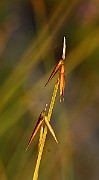 IMG_1400