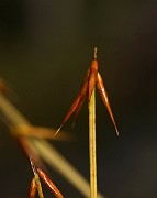 IMG_1403