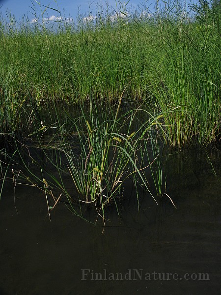 IMG_3842.jpg