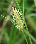 IMG_0007