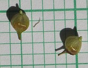 IMG_3578