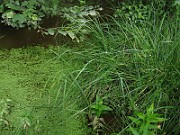 IMG_4114