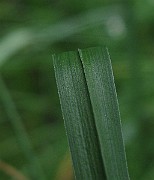 IMG_4116