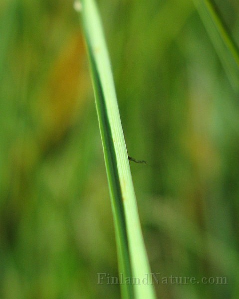 IMG_7666.jpg