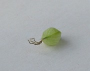 IMG_1871