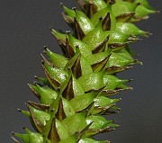 IMG_7160