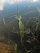 IMG_7164