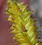 IMG_8623