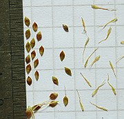 IMG_7190