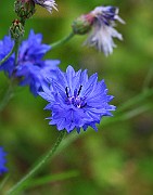 IMG_6882