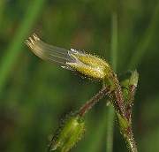 IMG_7491
