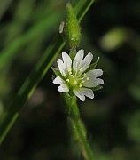 IMG_7506