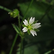 IMG_7507