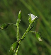 IMG_7887