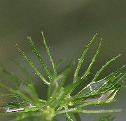 IMG_2659