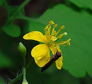 IMG_0755