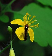 IMG_0756