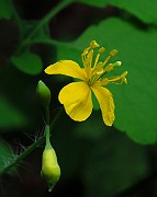 IMG_0757