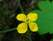 IMG_0759