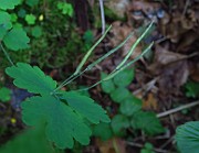IMG_0762