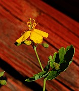 IMG_0836