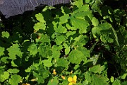 IMG_0841