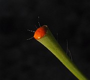 IMG_6350