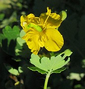 IMG_6351