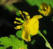 IMG_6353