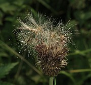 IMG_0180